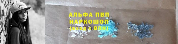 винт Надым