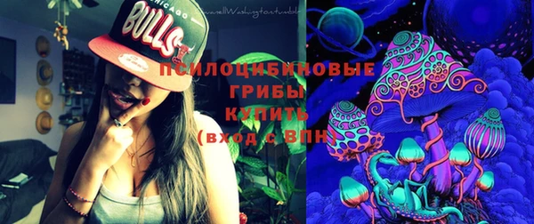 винт Надым
