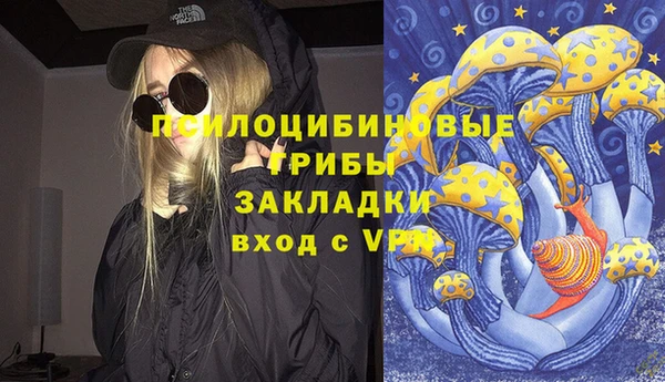 винт Надым