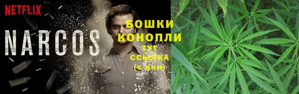 винт Надым