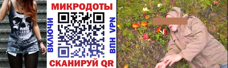 Псилоцибиновые грибы мухоморы  Зима 