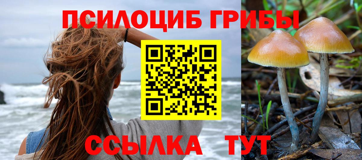 Псилоцибиновые грибы ЛСД  Галлюциногенные грибы Psilocybe  Зима 