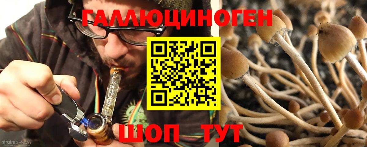 Зима  Псилоцибиновые грибы мухоморы  Вход с VPN 