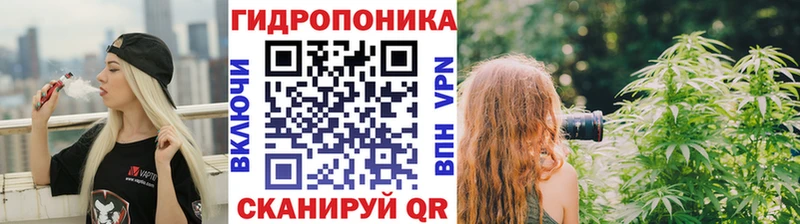 Каннабис AK-47  Зима 