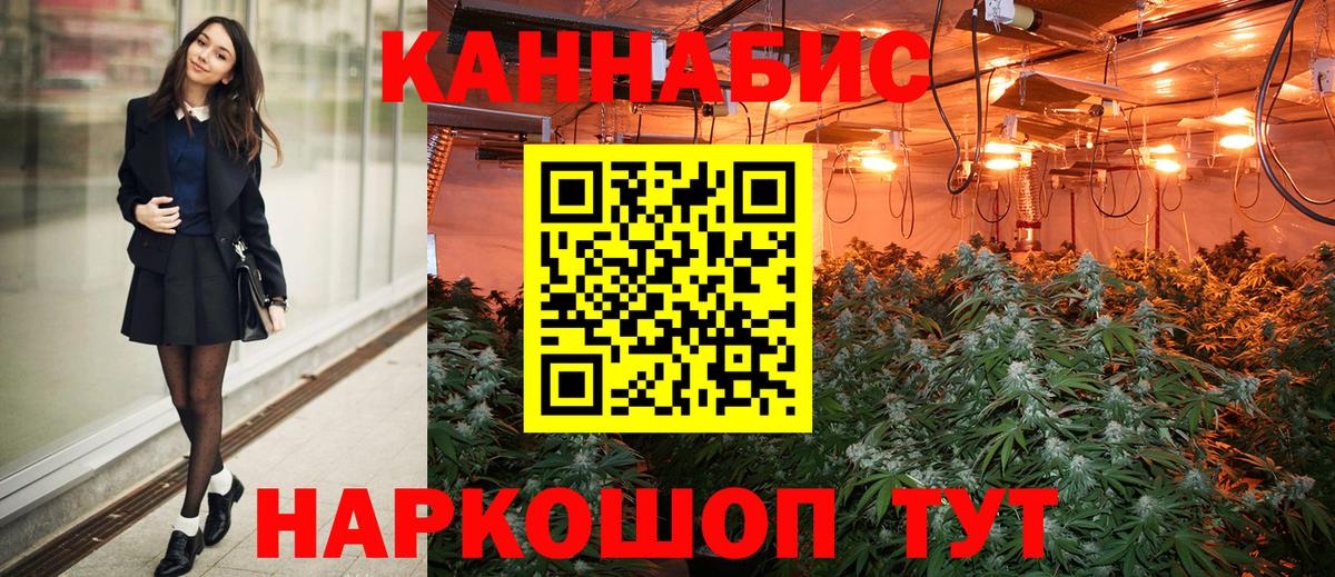 Бошки Шишки MAZAR Зима